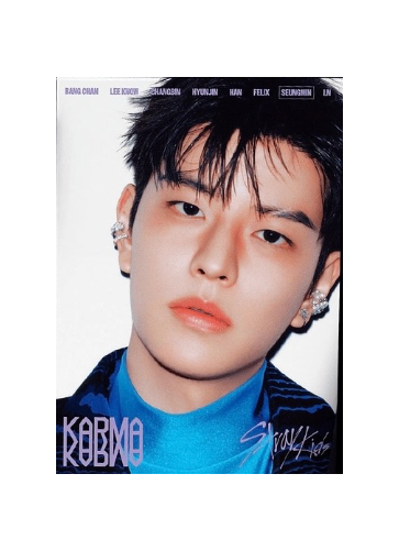 KARMA - Accordion Version (Seungmin)