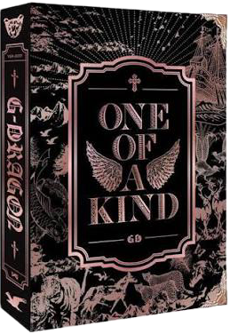 One of a Kind - Bronze Version