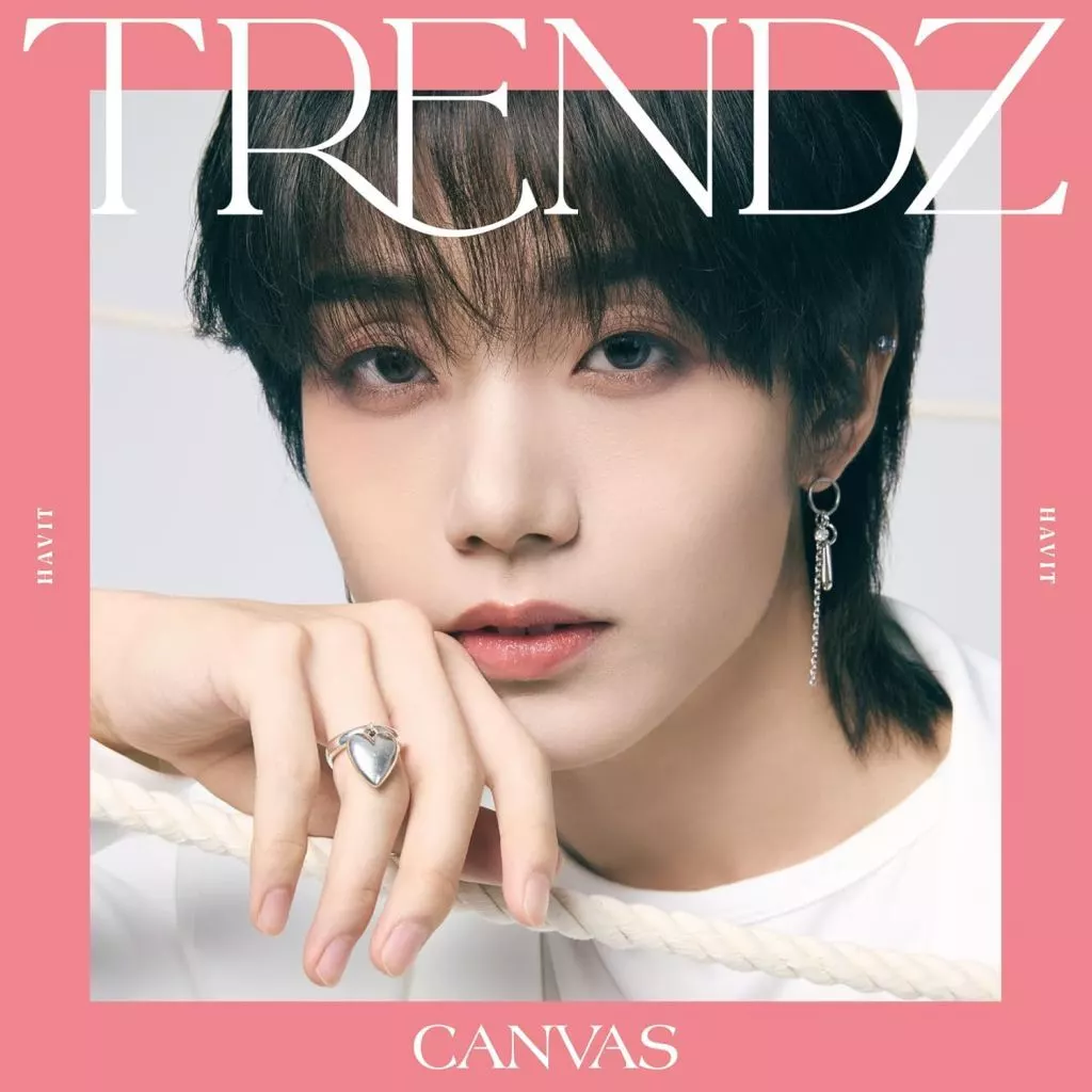 CANVAS - HAVIT VERSION