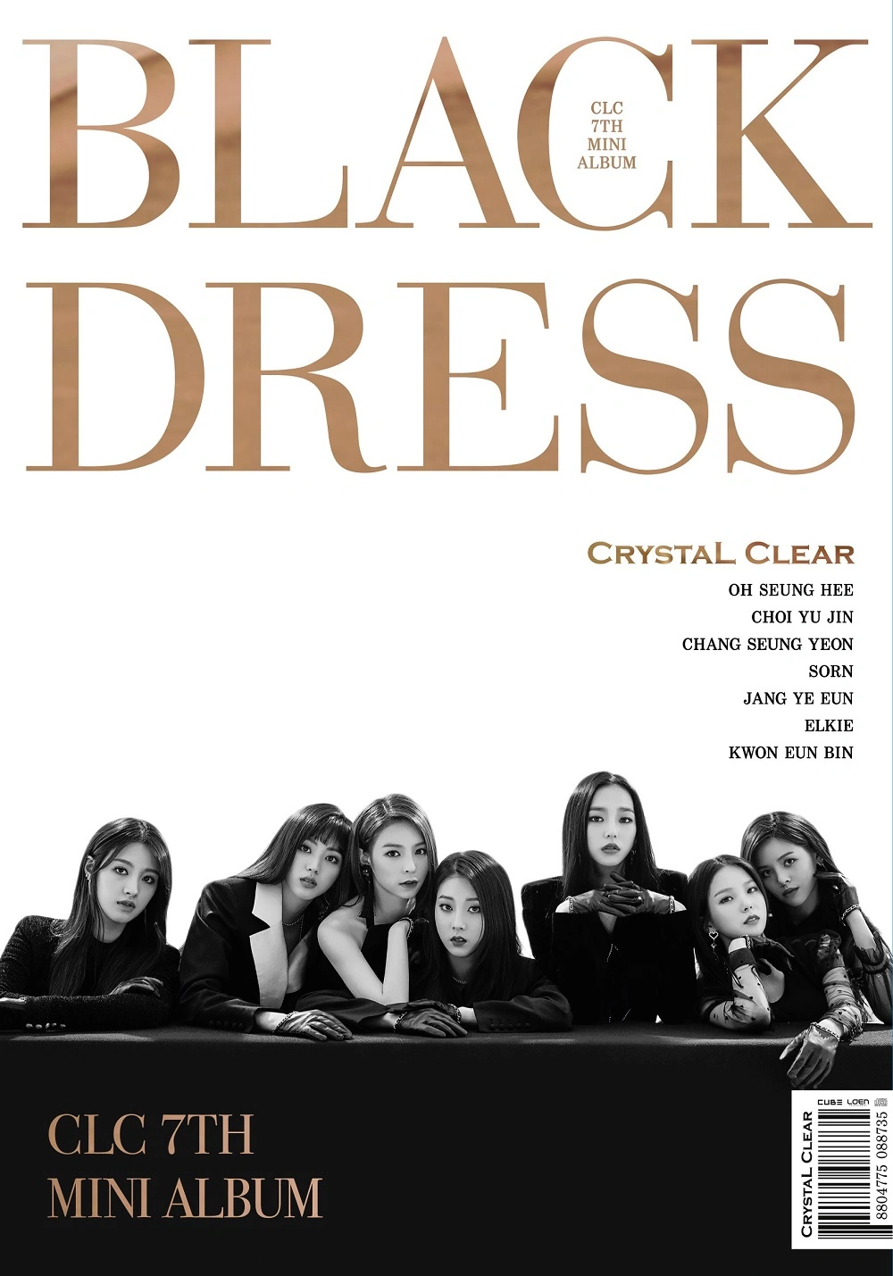 BLACK DRESS - Standard Version