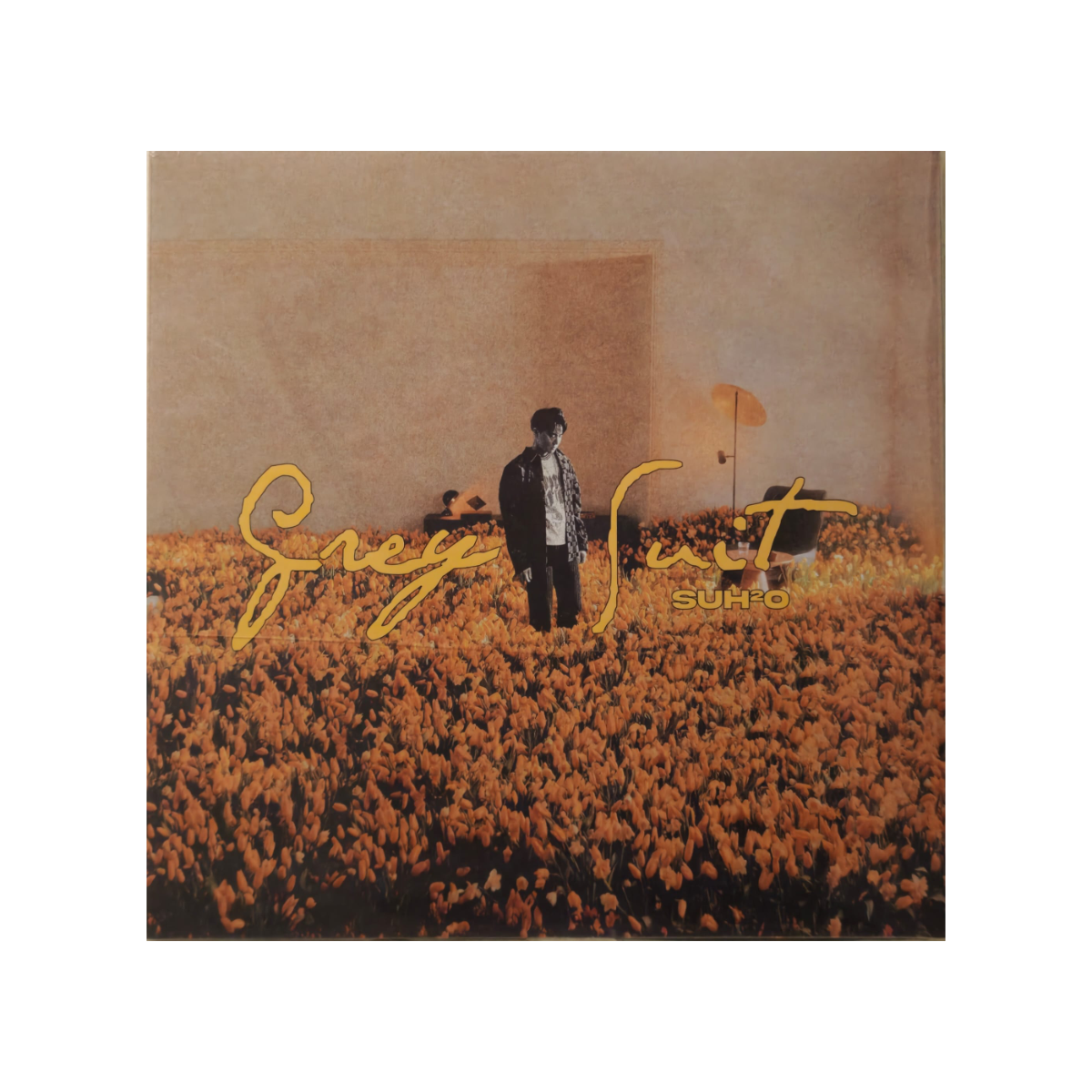Grey Suit - LP Version