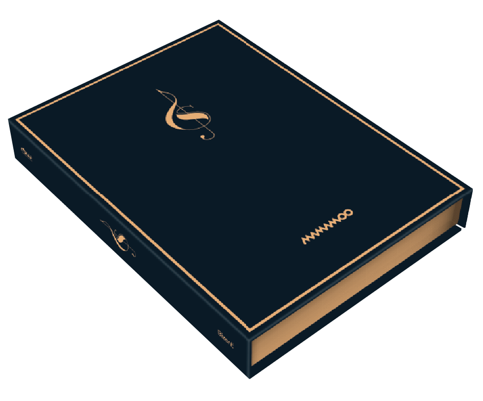Solar Gamsung 1 - Standard Version