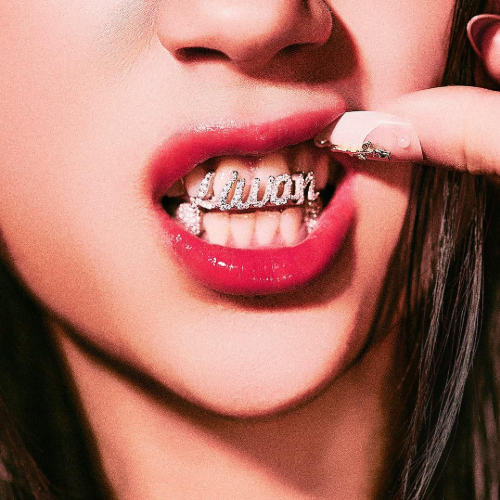D.I.M.M - Photobook - Liwon