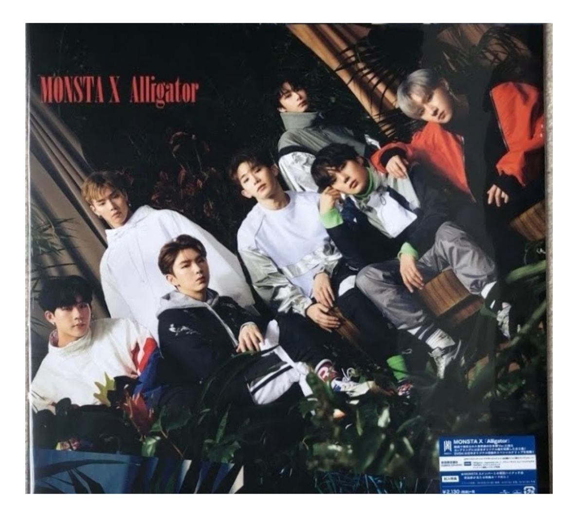 Alligator - Limited Version B (LP Size Jacket)