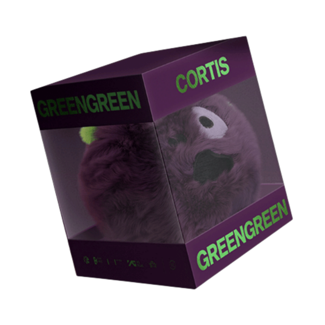 CORTIS 