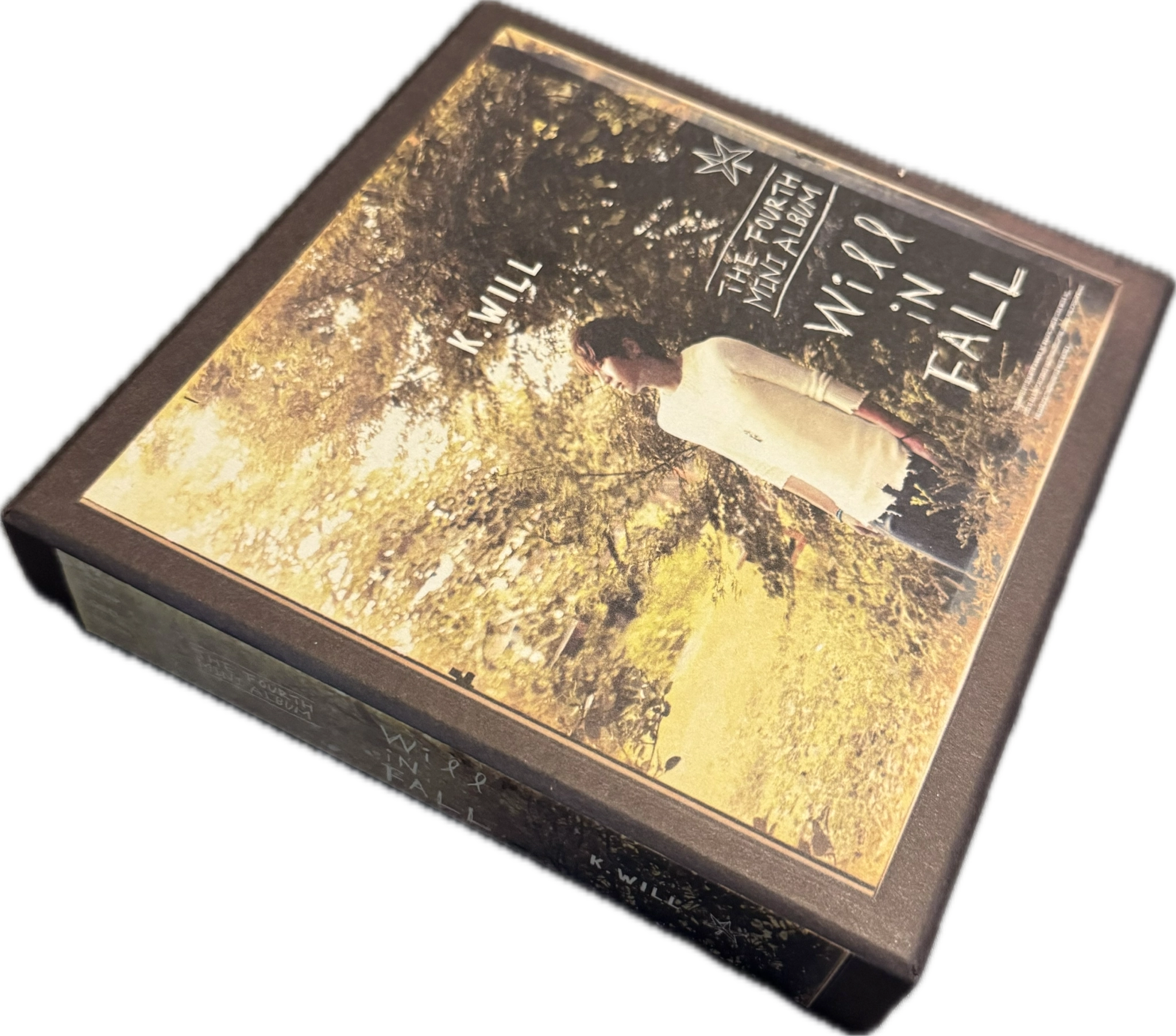 Will In Fall - Standard Version