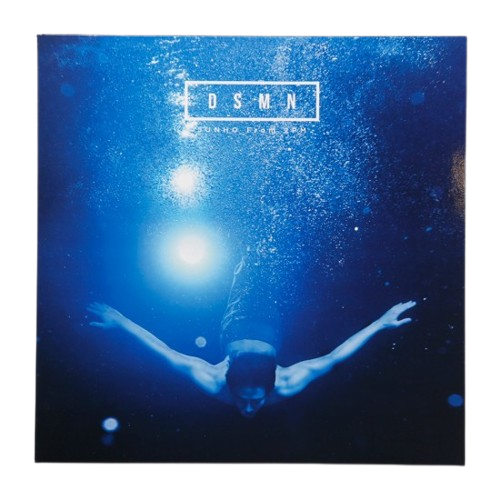 DSMN - Limited edition (LP size)