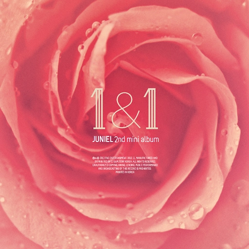 1&1 (Juniel) - Standard Version