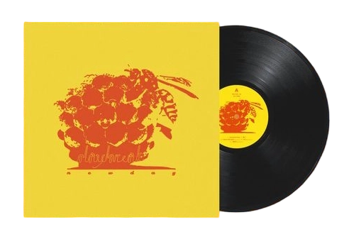 New Day - Vinyl Version