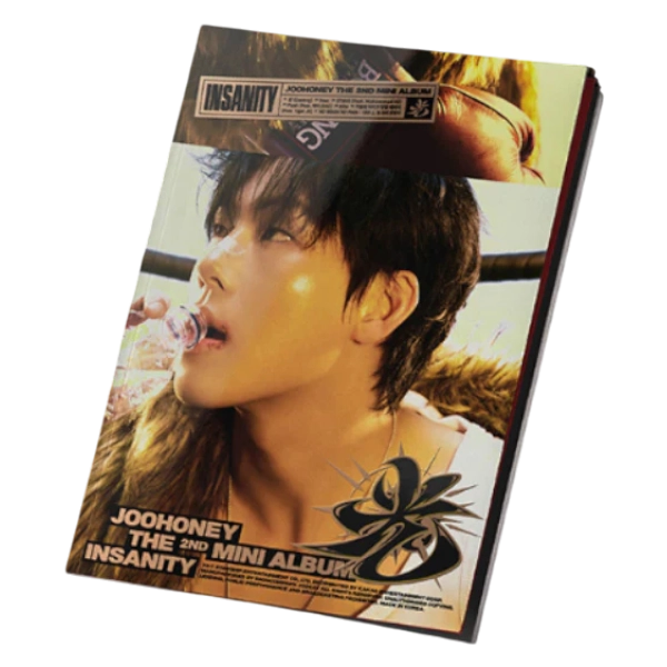 光 INSANITY - 링 위의 호랑이 Photobook Version