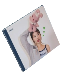 STRATEGY - Step 4 (Nayeon)