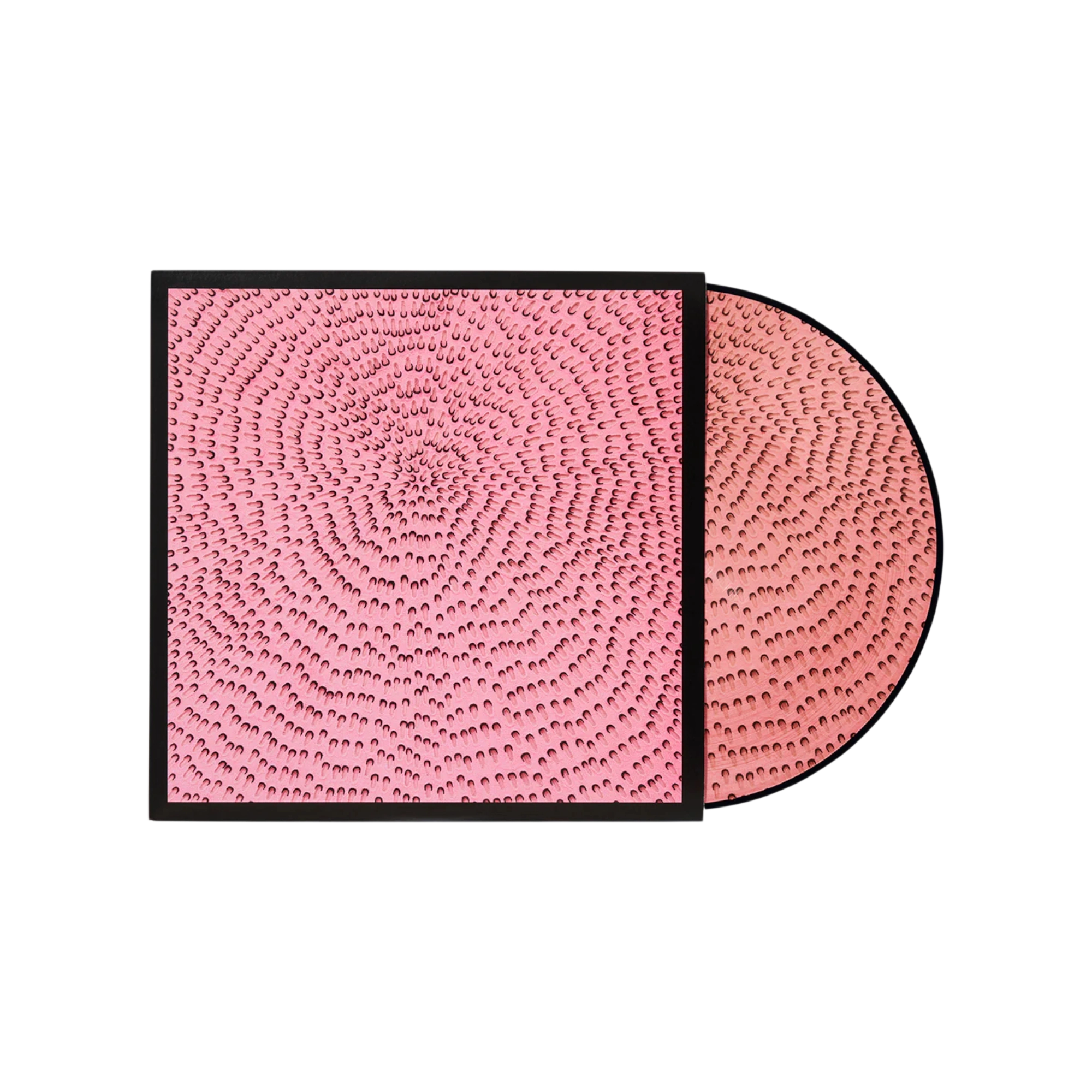 THE ALBUM - Jennifer Guidi Gallery Picture Disc Limited Edition