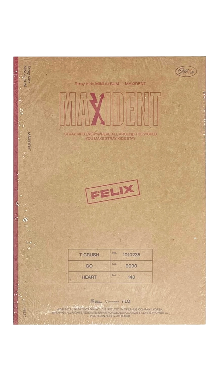 Maxident - CASE Version (Felix)