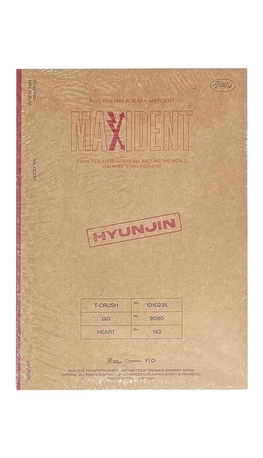 Maxident - CASE Version (Hyunjin)