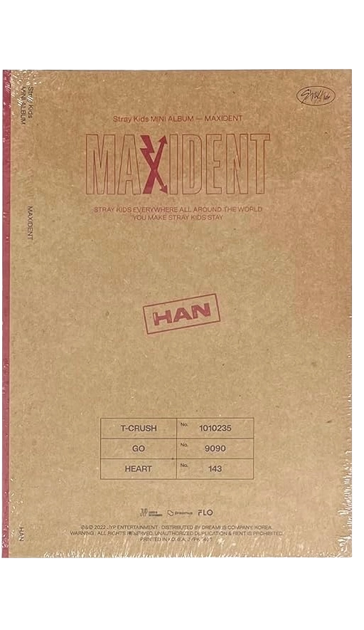 Maxident - CASE Version (HAN)