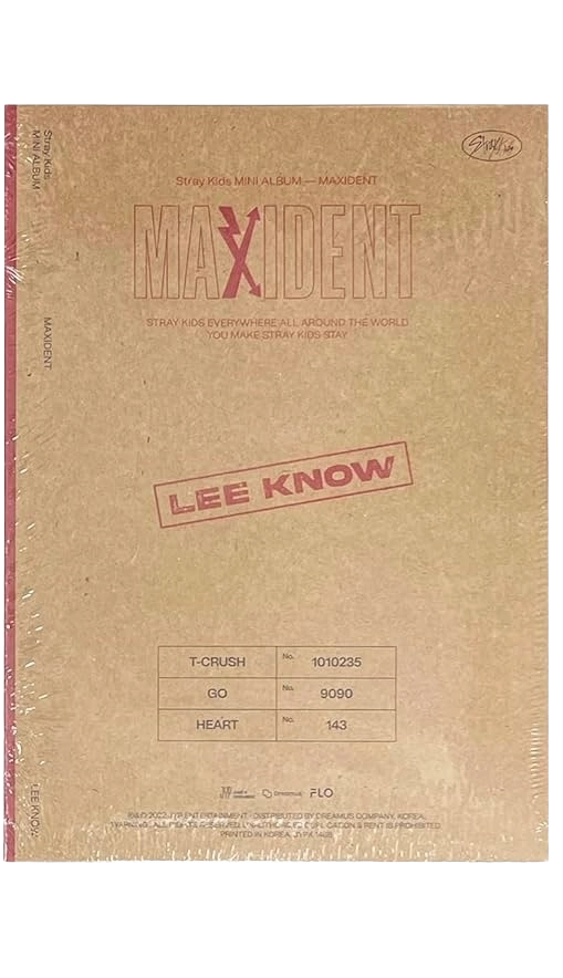 Maxident - CASE Version (Lee Know)