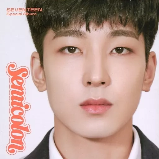 Semicolon - Wonwoo Version