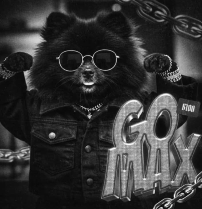 GO MAX