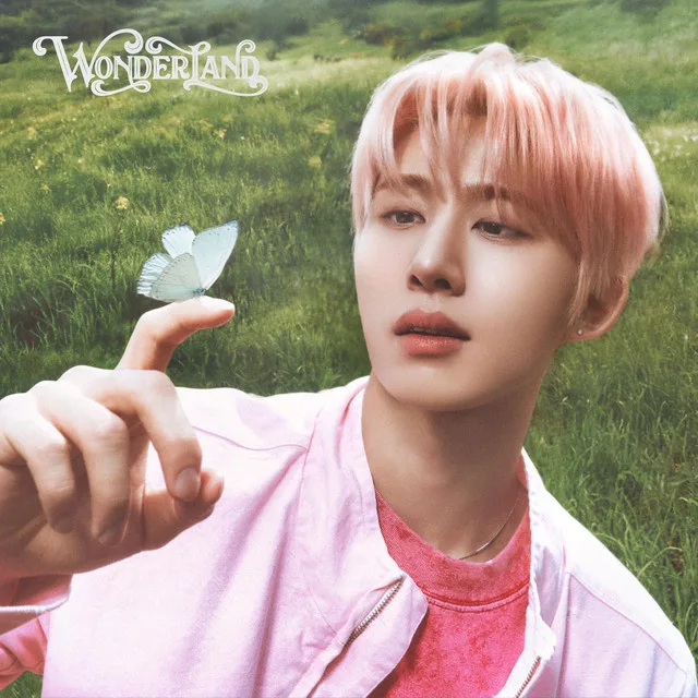 Wonderland 