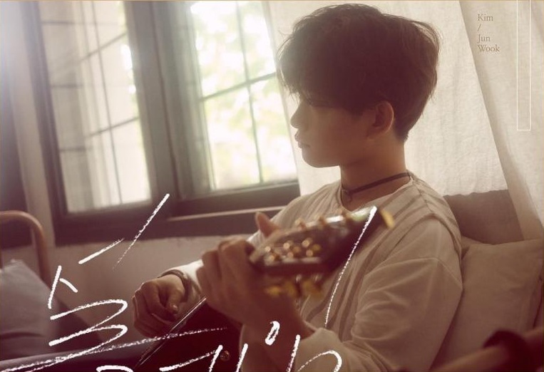 Junwook