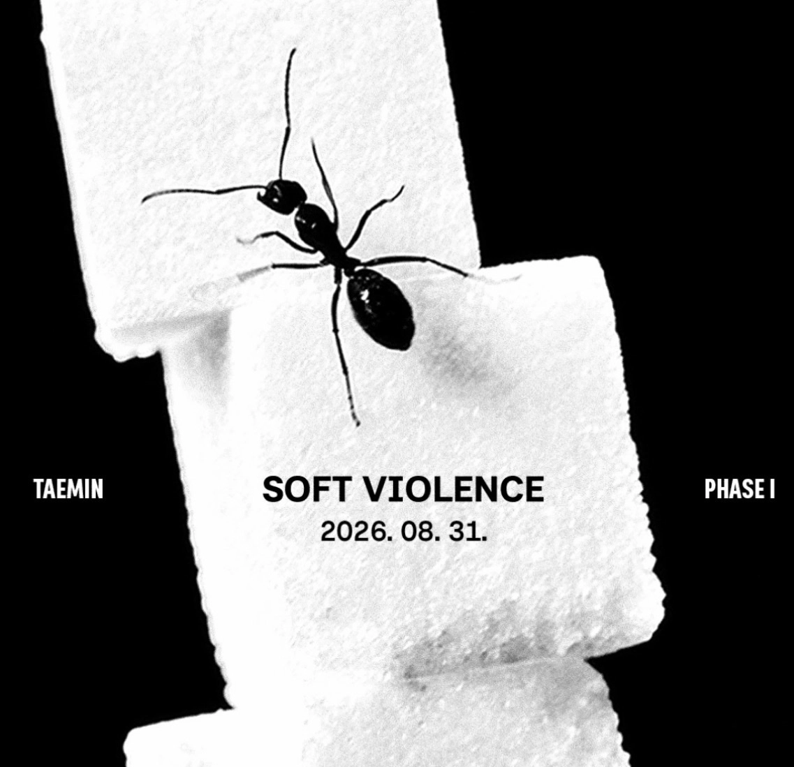 PHASE 1: Soft Violence