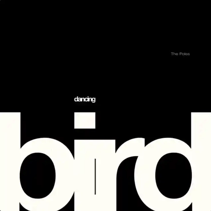 Dancing Bird