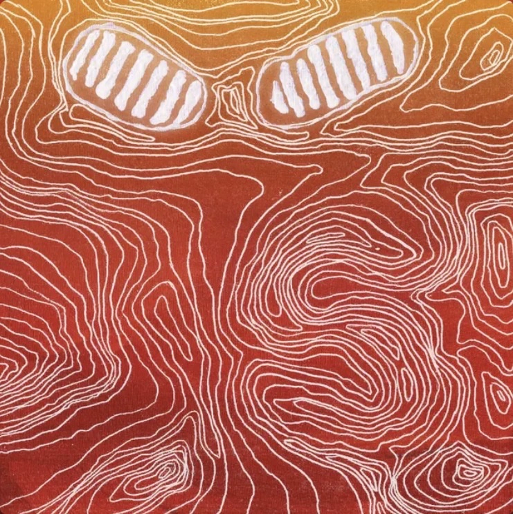 senseS
