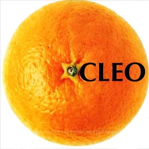 CLEO