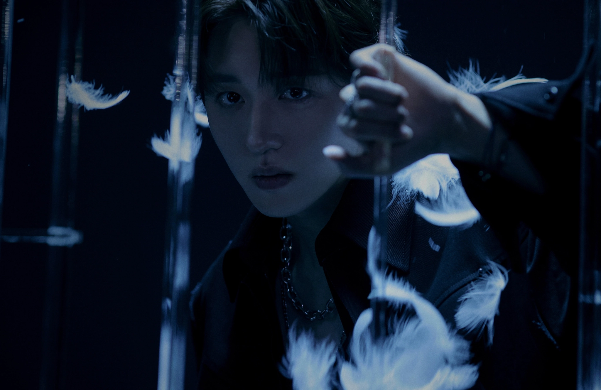 Chani