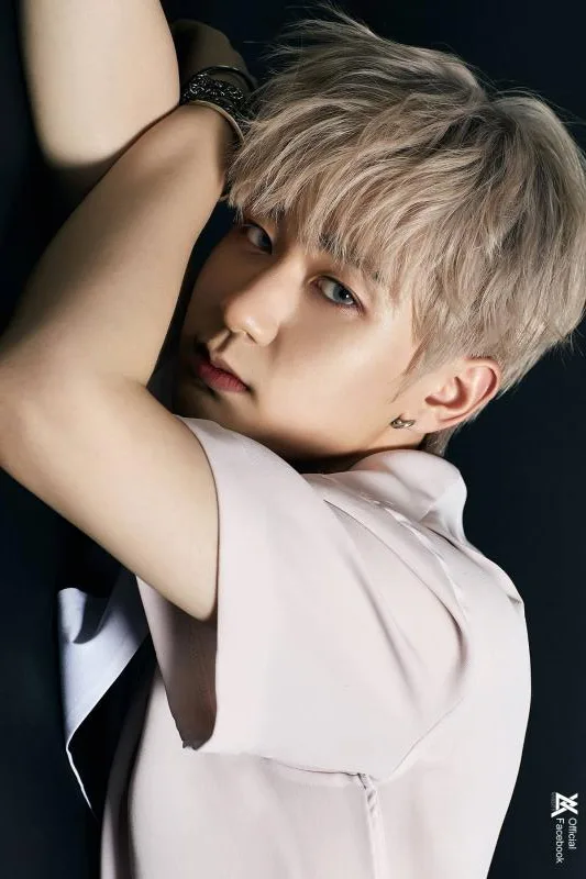 Jaebin