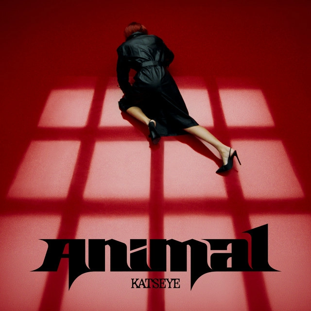 KATSEYE - Animal