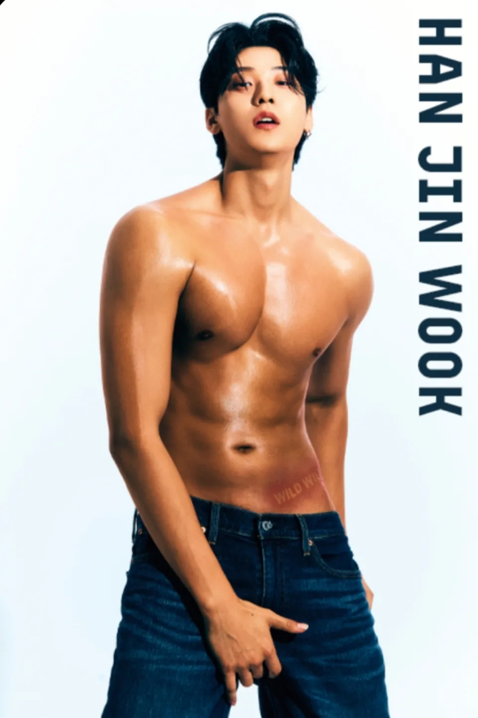 Han Jin Wook