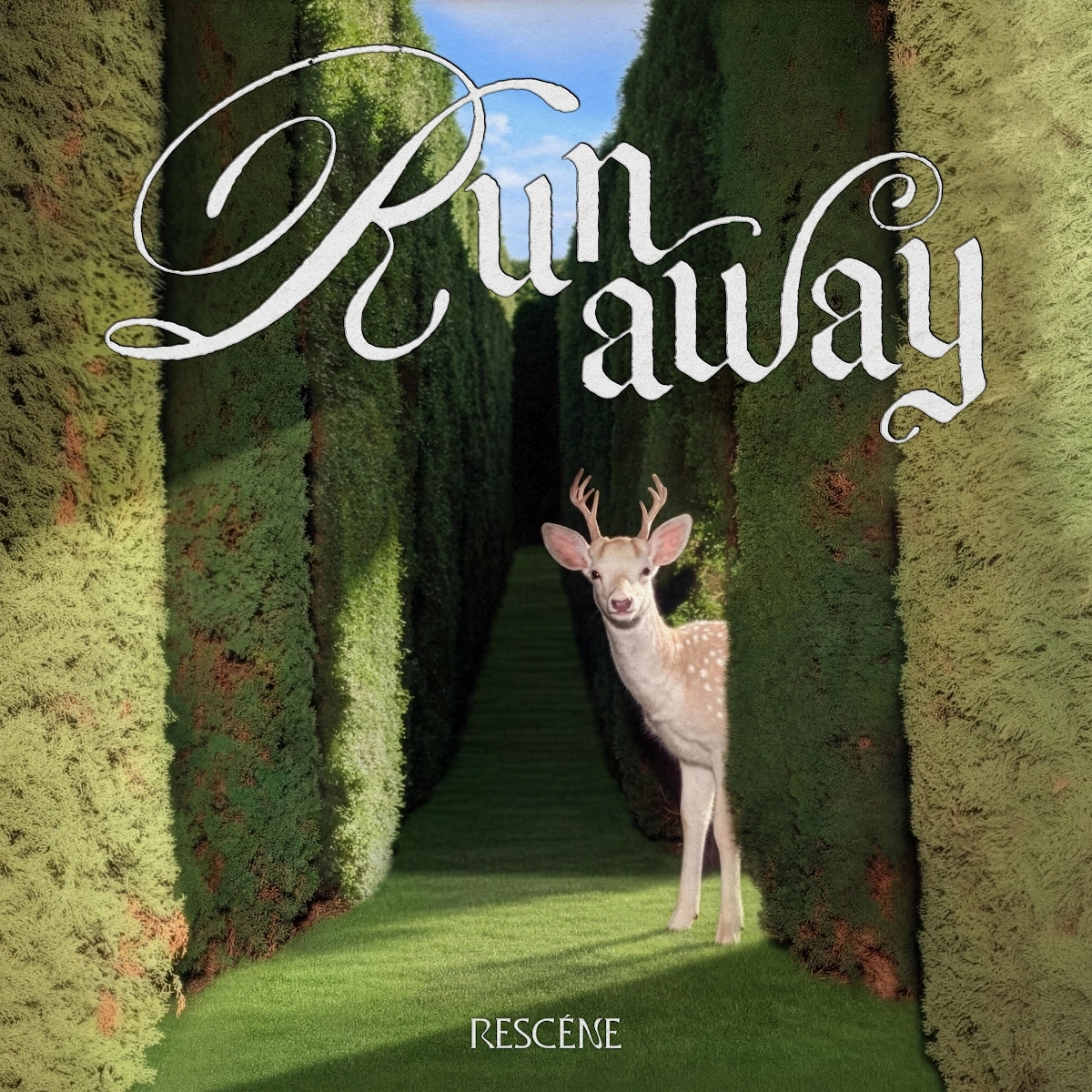 Runaway