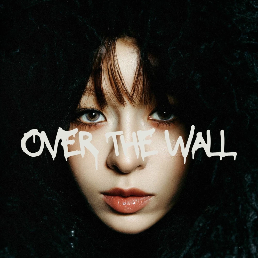 Over The Wall