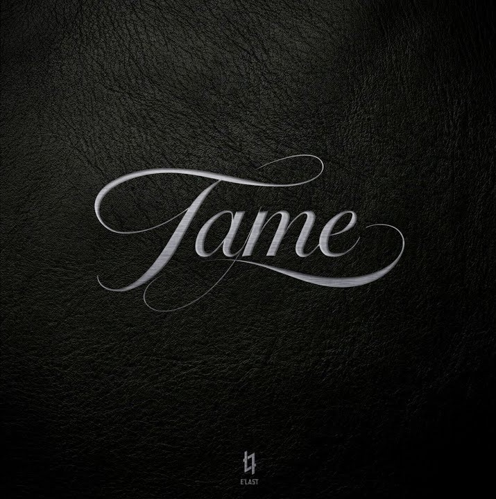 2nd Single [TAME]