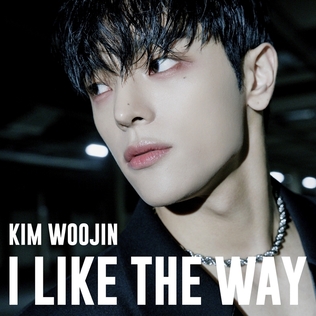 I Like the Way