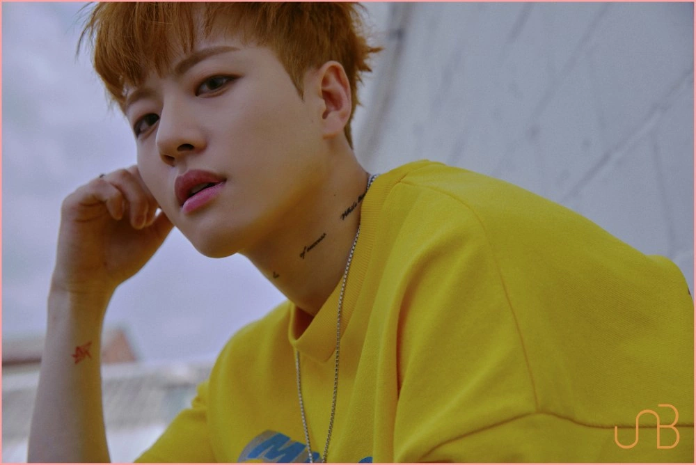 Feeldog