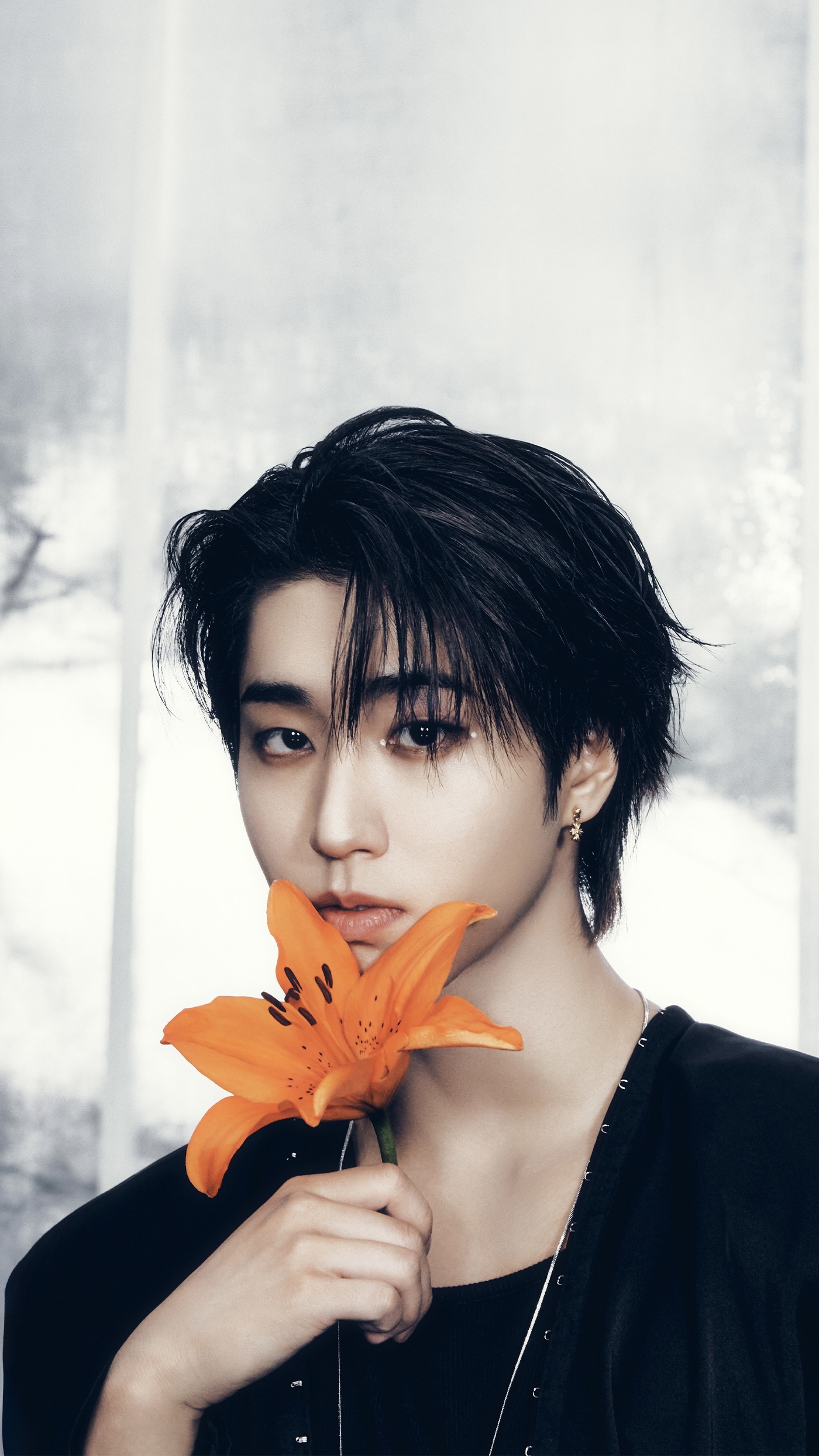 HAN Photocards (Stray Kids) | Bias Room