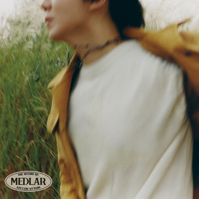Medlar mixtape