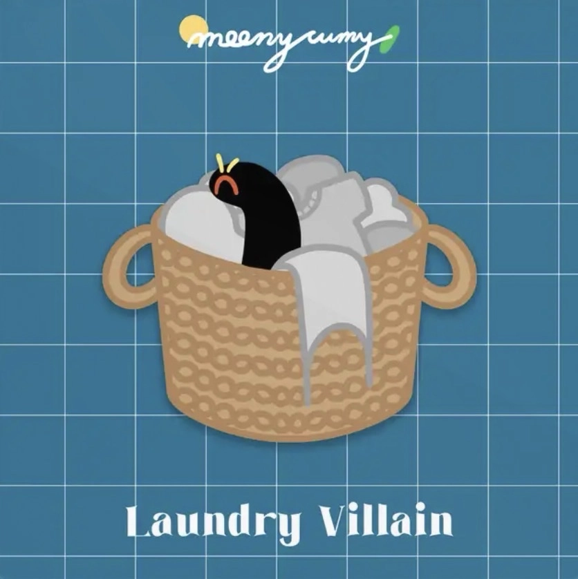 Laundry Villain