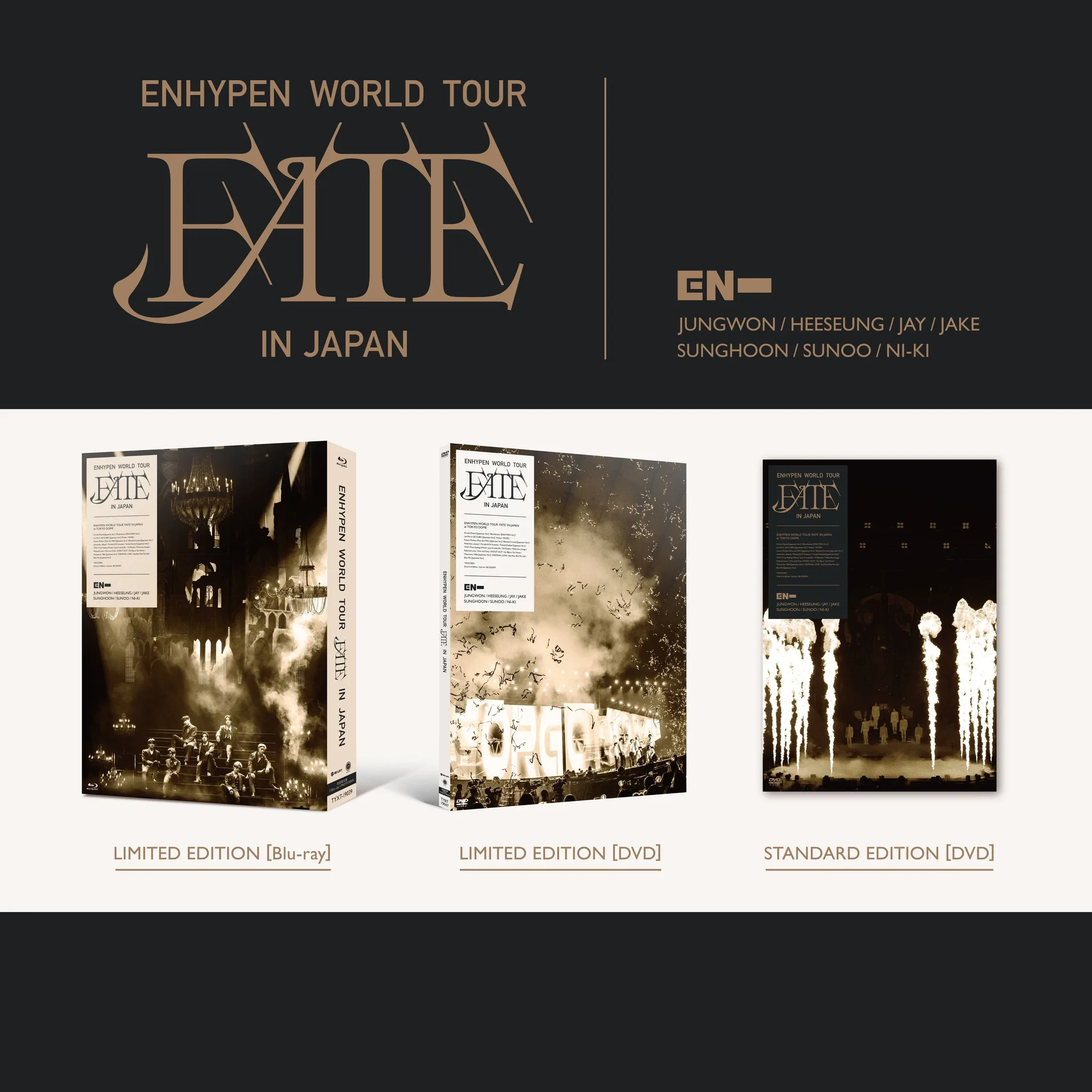 World Tour Fate in Japan