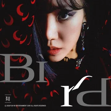 Apink - Bird