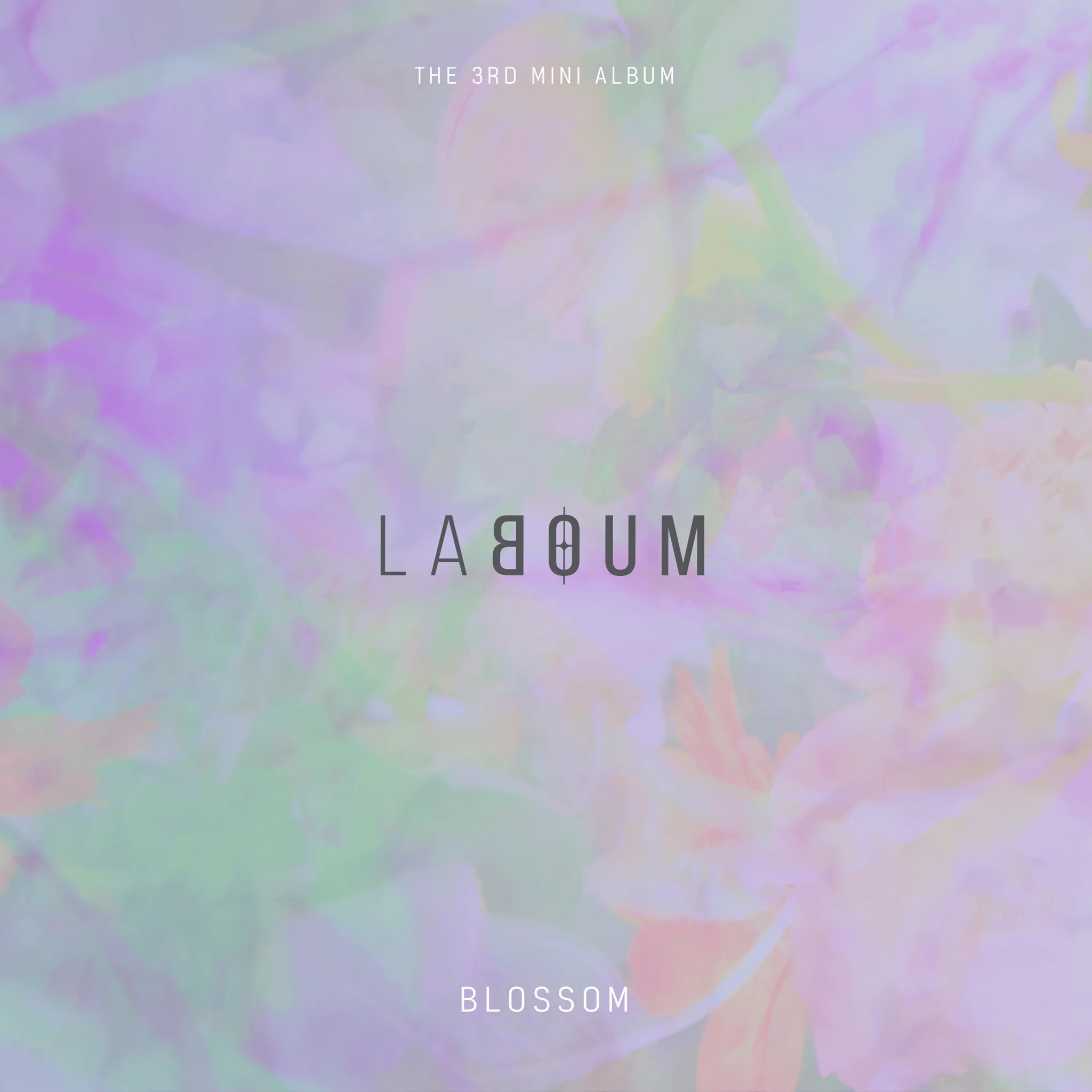 Blossom