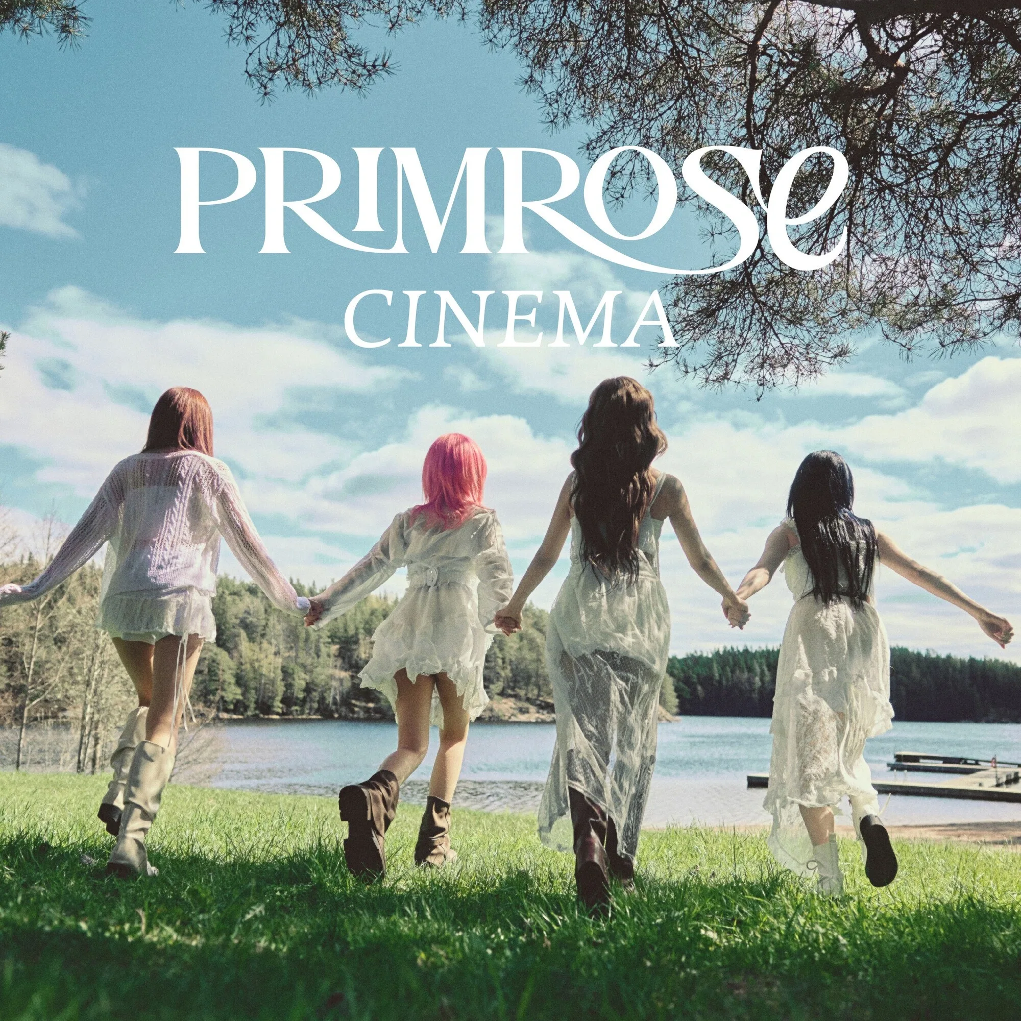 Cinema