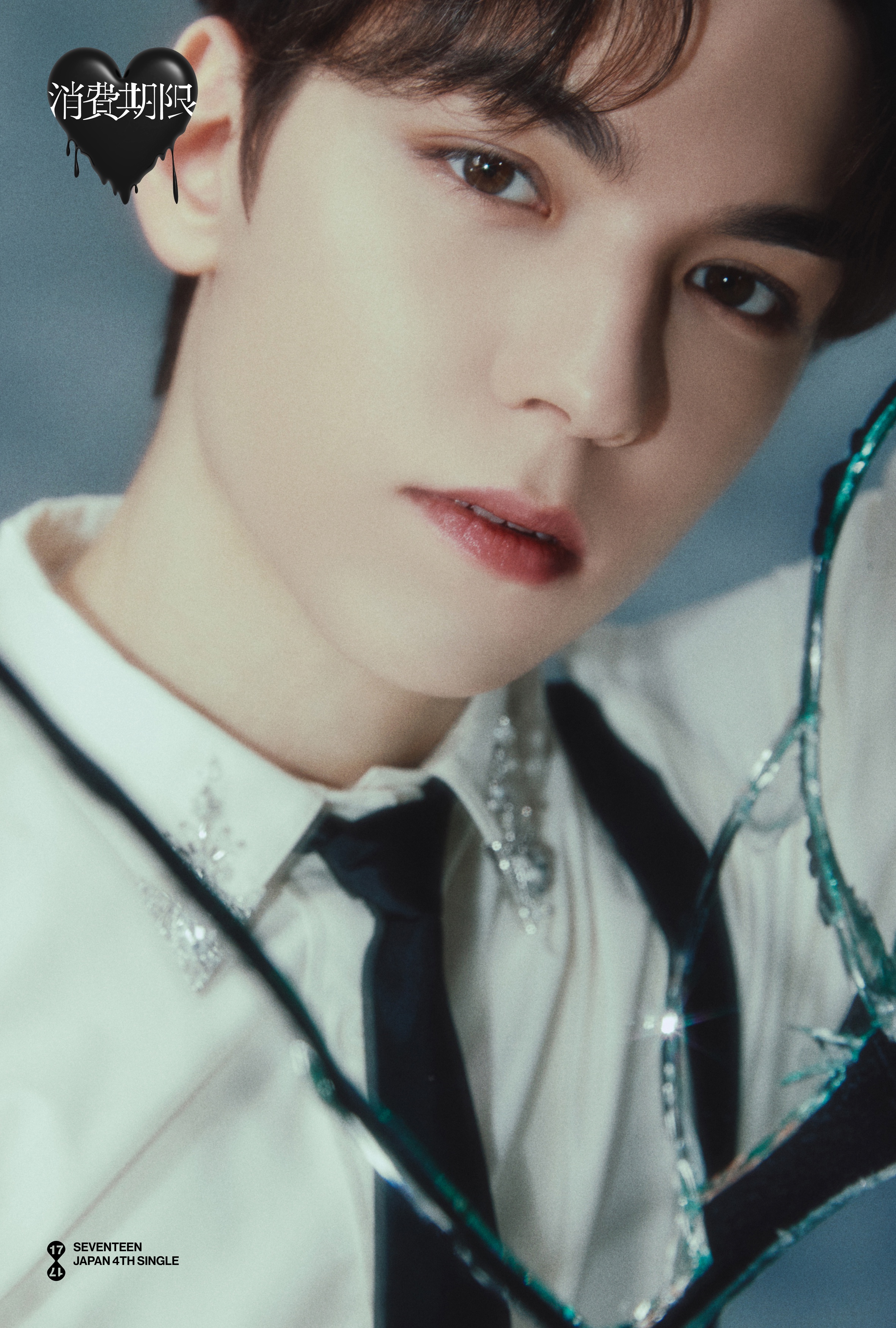 Vernon Photocards (SEVENTEEN) | Bias Room