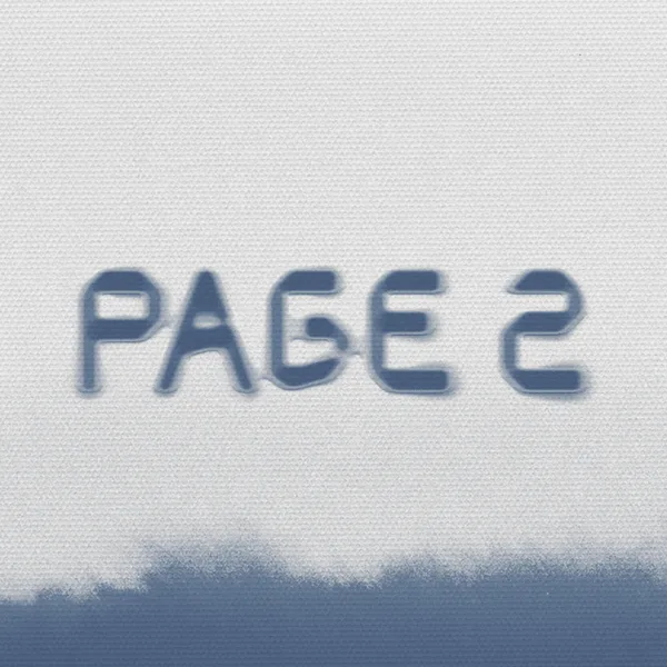 PAGE 2