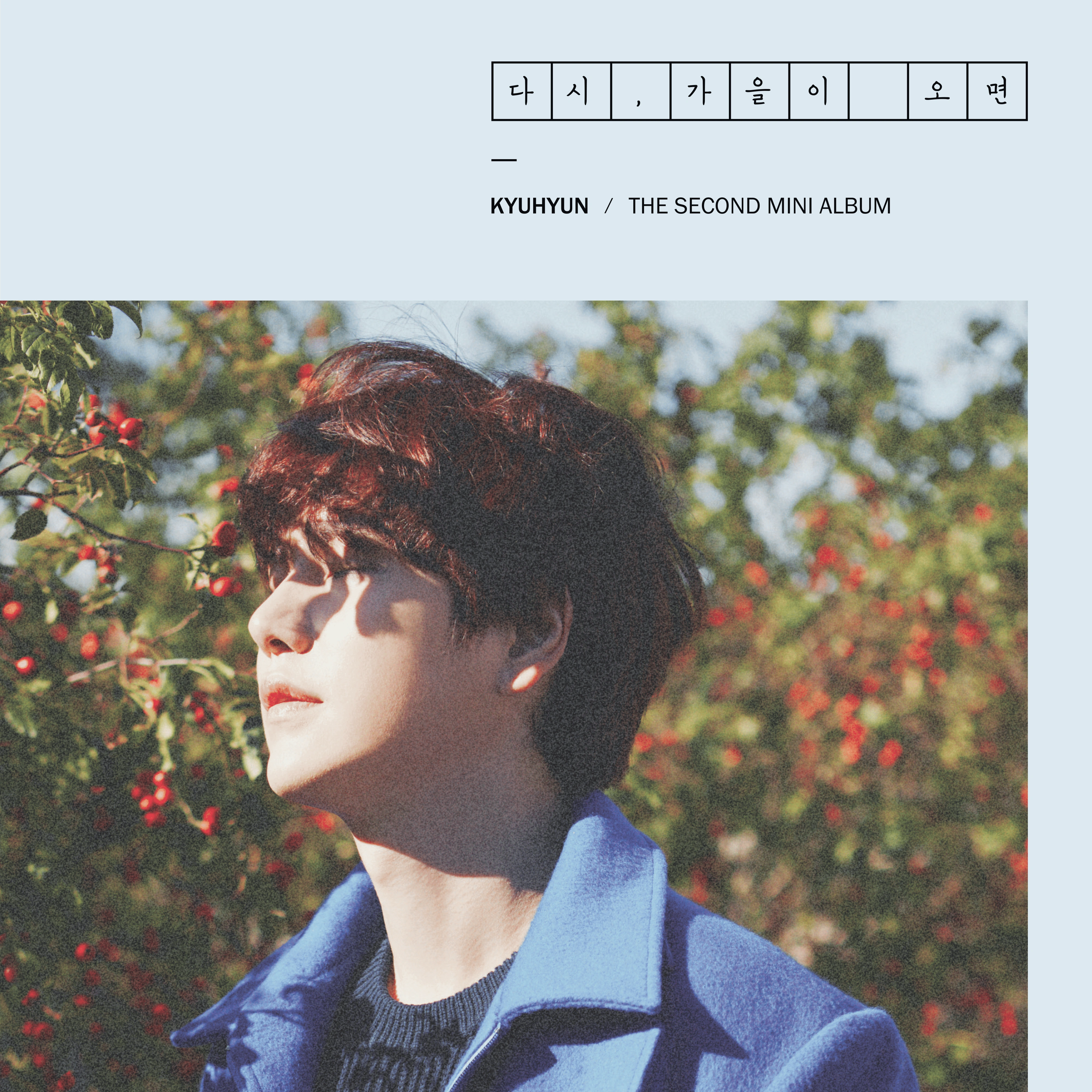 SUPER JUNIOR - Fall, Once Again (Kyuhyun Solo)