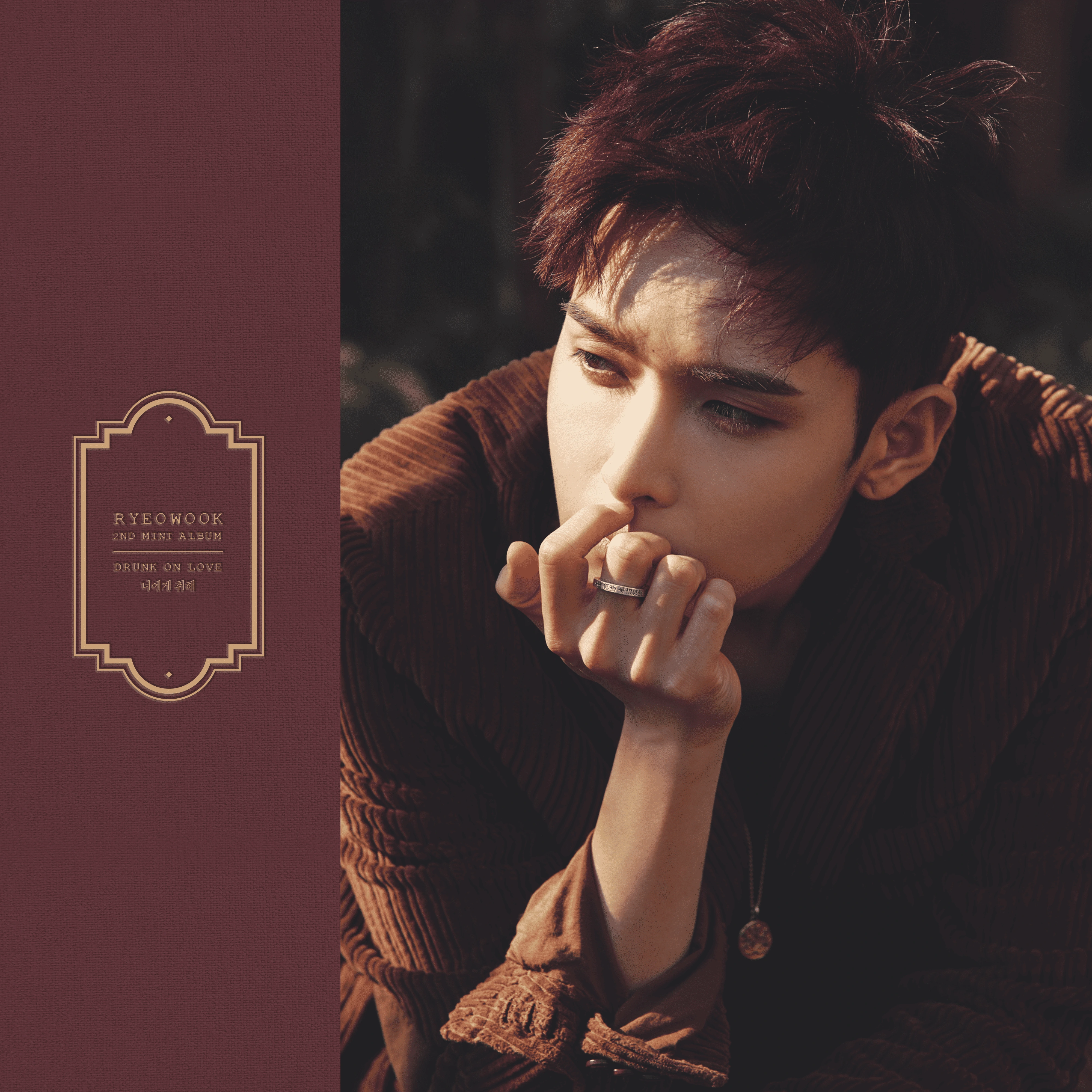 SUPER JUNIOR - Drunk On Love (Ryeowook Solo)
