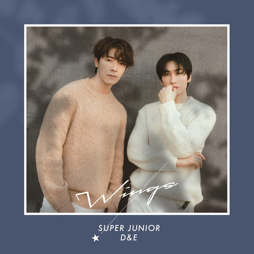 Wings (D&E Unit)