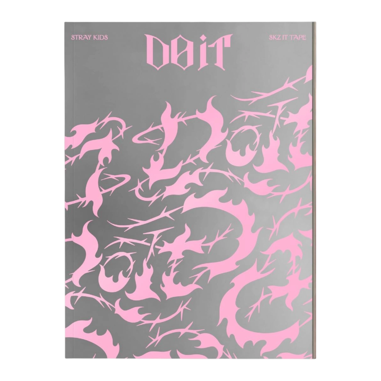 Stray Kids "Do It" It Version (Standard) - Album Version